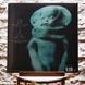 Виниловая пластинка Disturbed &ndash; The Sickness (LP, 25th Anniversary, Gatefold, Green Vinyl) 093624843283 фото 2
