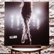 Виниловая пластинка Miley Cyrus &ndash; Something Beautiful (LP, Album, Gatefold, Vinyl) 198029012217 фото 2