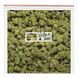 Вінілова платівка Dr. Dre &ndash; 2001 (2LP, 25th Anniversary, Limited Edition, Green Marble Translucent Vinyl) 602478821929 фото 3