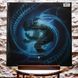 Виниловая пластинка Disturbed &ndash; Evolution (2LP, Album, Deluxe Edition, Gatefold, Vinyl) 093624904830 фото 2
