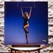 Вінілова платівка Miley Cyrus &ndash; Endless Summer Vacation (LP, Album, Gatefold, Vinyl) 196587813413 фото 1