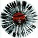 Виниловая пластинка Die Antwoord &ndash; Ten$ion (LP, Limited Edition, Black & White Splatter Vinyl) 843563198407 фото 3
