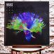 Виниловая пластинка Muse &ndash; The 2nd Law (2LP, Album, Gatefold, Vinyl) 825646568772 фото 1