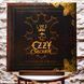 Виниловая пластинка Ozzy Osbourne &ndash; Memoirs Of A Madman (2LP) 888750156112 фото 1