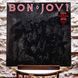 Виниловая пластинка Bon Jovi &ndash; Slippery When Wet (LP, Limited Edition, Picture Disc, Vinyl) 602468007838 фото 1