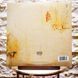 Виниловая пластинка Nine Inch Nails &ndash; The Downward Spiral (Definitive Edition) (2LP) 602557142785 фото 2