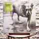 Виниловая пластинка Alice In Chains &ndash; Alice In Chains (2LP, Album, 30th Anniversary, Gatefold, Yellow Highlighter Vinyl) 198028486910 фото 1