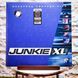 Виниловая пластинка Junkie XL &ndash; Saturday Teenage Kick (2LP, Record Store Day, Gatefold, Sea Blue Vinyl) 848064020776 фото 1
