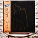 Вінілова платівка T. Rex &ndash; Electric Warrior (Japan, LP, Obi, Album, Vinyl) MP2240 фото 1